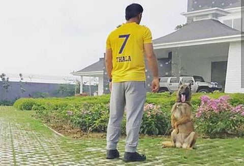 டோனி வெளியிட்ட புகைப்படம் ரசிகர்கள் உற்சாகம்