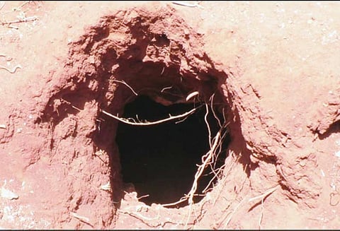 தனியார் நிலத்தில் திடீர் பள்ளம் ஏற்பட்டதால் பரபரப்பு