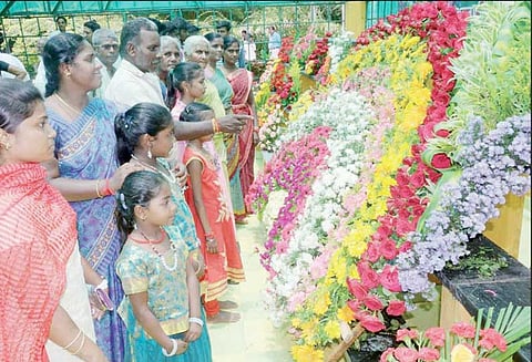 கொல்லிமலை வல்வில் ஓரி விழாவில் மலர் கண்காட்சி சுற்றுலா பயணிகள் கண்டு ரசித்தனர்