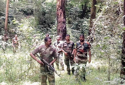 முதுமலை வனப்பகுதிகளில் மாவோயிஸ்டு தேடுதல் வேட்டை