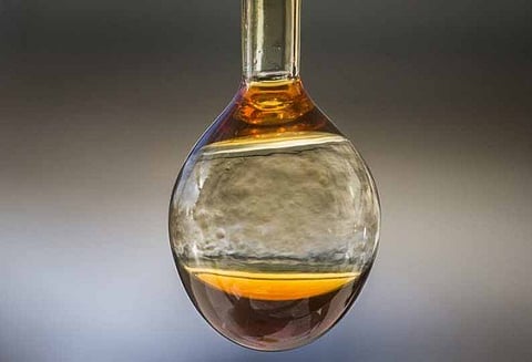 பூமியில் முதல் விலங்குகள் தோன்றியது எப்படி ? ரகசியத்தை உடைத்தது புதிய ஆய்வு