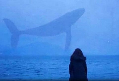 ‘புளூ வேல்’ ஆற்றில் குதிக்க சென்ற 10-ம் வகுப்பு மாணவியை போலீசார் காப்பாற்றினர்