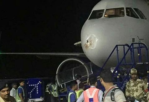 பறவை மோதியதால் இண்டிகோ விமானம் அவசரமாக தரையிறக்கம்