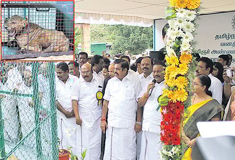 வண்டலூர் உயிரியல் பூங்காவில் சிங்க குட்டிக்கு முதல்-அமைச்சர் பெயர் சூட்டினார்