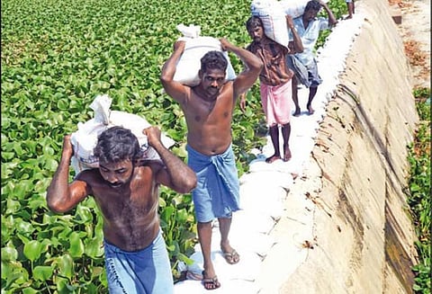 வாய்க்காலில் தண்ணீர் செல்ல சூரம்பட்டி அணைக்கட்டு உயரத்தை அதிகரிக்க மண் மூட்டை அடுக்கி வைப்பு
