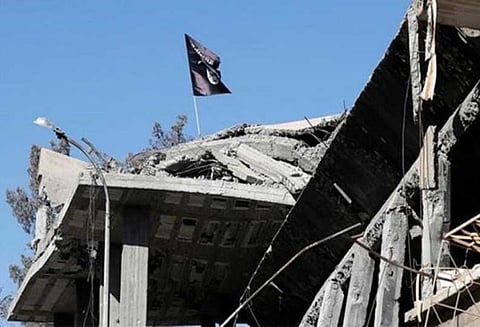 சிரியாவில் 116 மக்களை தூக்கிலிட்டு ஐ.எஸ் இயக்கம் கொன்றதாக தகவல்