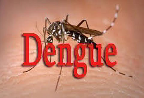 பிரசவம் முடிந்த 10 நாளில் டெங்கு காய்ச்சலுக்கு பெண் பலி குழந்தைக்கு தீவிர சிகிச்சை