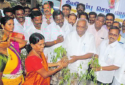 திருநீர்மலையில் பொது மக்களுக்கு நிலவேம்பு செடிகள்; பொன்.ராதாகிருஷ்ணன் வழங்கினார்