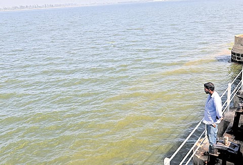 தொடர் மழை எதிரொலி செம்பரம்பாக்கம், புழல் ஏரிகளில் நீர் மட்டம் உயர்வு