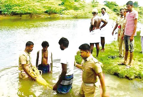 வெட்டாற்றில் முதலை இருப்பதாக பொதுமக்கள் பீதி தீயணைப்பு வீரர்கள் தேடும் பணி தீவிரம்