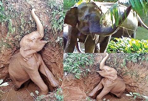 குட்டியானை மீட்பு: வன ஊழியர்களுக்கு துதிக்கையை உயர்த்தி நன்றி தெரிவித்த தாய் யானை