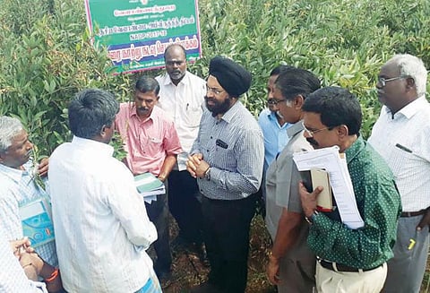 மாவட்டத்தில் வேளாண்மை திட்ட பணிகள் குறித்து அரசு செயலர் ஆய்வு