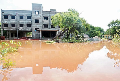 நாகை மாவட்டத்தில் கனமழை குடியிருப்பு பகுதிகளை தண்ணீர் சூழ்ந்தது