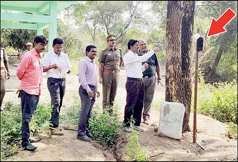 தண்டவாளத்தில் காட்டு யானைகள் நிற்பதை அறிய ‘சென்சார்’ கருவி