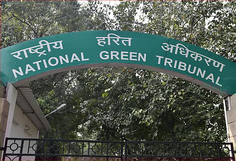 நாட்டு பசுக்களை பாதுகாக்கும் கொள்கை வரைவு கூட்டத்தில் கலந்து கொள்ள 11 மாநிலங்களுக்கு உத்தரவு