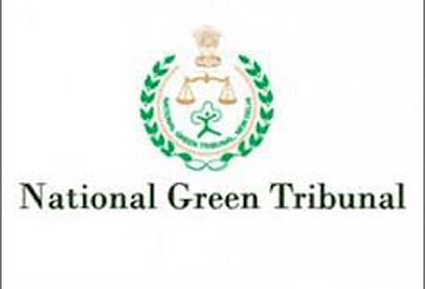 கொசஸ்தலை ஆற்றி ல் தேங்கியுள்ள சாம்பல் கழிவுகளை அகற்ற வேண்டும் மின்வாரியத்துக்கு பசுமை தீர்ப்பாயம் உத்தரவு