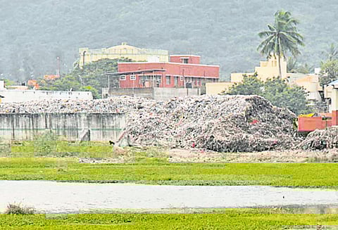 ஏரி பகுதியில் கொட்டப்படும் குப்பைகளால் கழிவுநீராக மாறி வரும் பீர்க்கன்காரணை ஏரி தண்ணீர்