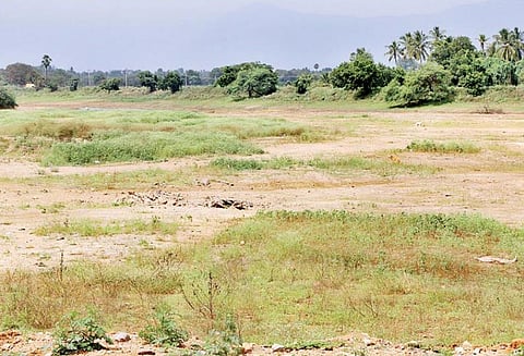 போதிய அளவு மழை பெய்தும் வறண்டு காணப்படும் நொய்யல் ஆறு, குளங்கள்