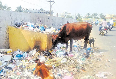 ஊரப்பாக்கம் ஊராட்சி தெருக்களில் தேங்கி கிடக்கும் குப்பை நிரந்தர தீர்வு கிடைக்குமா? பொதுமக்கள் எதிர்பார்ப்பு