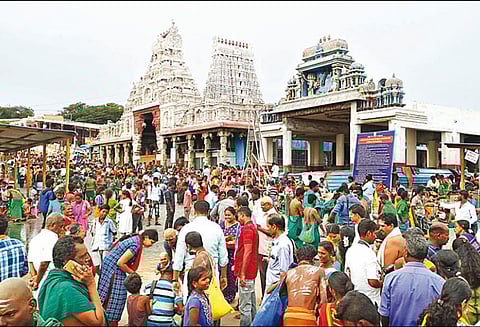 பொங்கல் பண்டிகையையொட்டி திருச்செந்தூர் சுப்பிரமணிய சுவாமி கோவிலில் பக்தர்கள் குவிந்தனர்