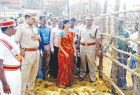 கூலமேட்டில் இன்று ஜல்லிக்கட்டு நடக்கும் இடத்தை கலெக்டர் ரோகிணி நேரில் ஆய்வு