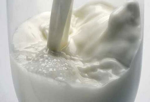 கலப்படம் செய்து விற்கப்படுவதாக புகார் பால் வேன்களை மறித்து அதிகாரிகள் சோதனை