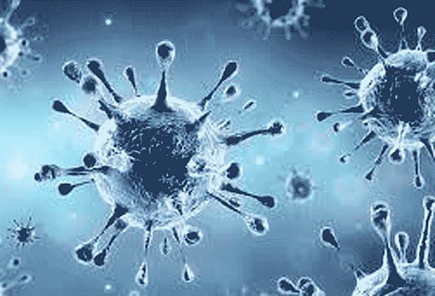 மராட்டியத்தில் புதிதாக 316 பேருக்கு கொரோனா