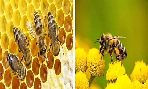 கோப்புப்படம்