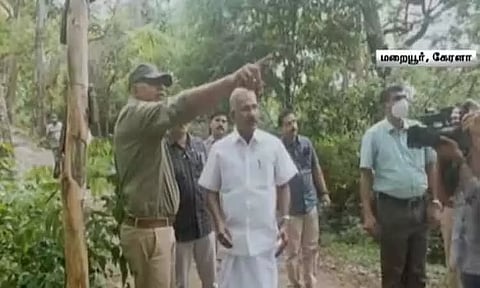 சந்தன மரங்களைத் தாக்கும் 'ஸ்பைக்' நோய் - 2 ஆயிரம் மரங்களை வேரோடு அகற்ற கேரள வனத்துறை முடிவு