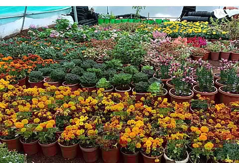 ஏற்காட்டில் கோடை விழாவுக்கான ஏற்பாடுகள் தீவிரம்