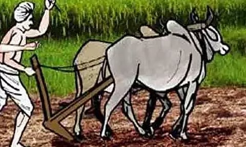 மீண்டும் மாட்டுச்சந்தை உருவாக்கப்படுமா?