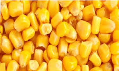 வேளாண் பொருட்களின் விலை விவரம்