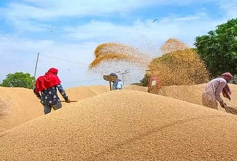 கோதுமை ஏற்றுமதிக்கான தடையை இந்தியா மறுபரிசீலனை செய்ய வேண்டும் - சர்வதேச நாணய நிதியத்தின் தலைவர் வேண்டுகோள்