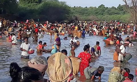 சிவகங்கை: மருதிப்பட்டி பெரிய கண்மாயில் மீன்பிடி திருவிழா...!