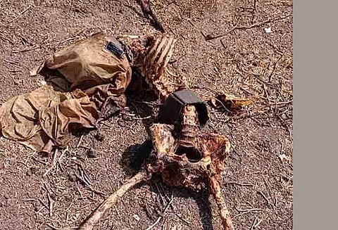 கண்மாய் பகுதியில் மனித எலும்புக்கூடு