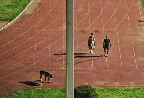 மைதானத்தில் நாயுடன் ஐ.ஏ.எஸ் அதிகாரி வாக்கிங்…! பயிற்சி செய்யும் வீரர்களை விரட்டும் கொடுமை!