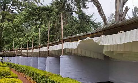 சிம்ஸ் பூங்காவில் நாளை மறுநாள் பழக்கண்காட்சி