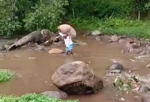 கொடைக்கானல் பெரியாற்றில் வெள்ளம் - விவசாயிகள் தவிப்பு