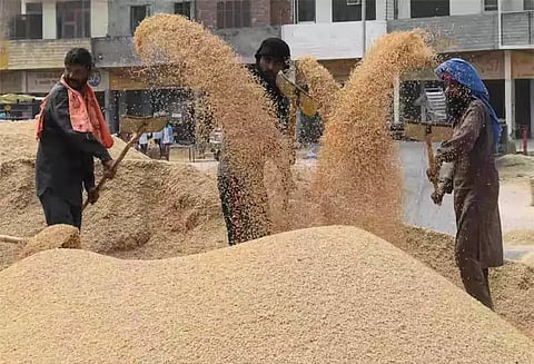 அதிக அளவில் ஏற்றுமதி செய்வதை தடுக்கவே தடை விதித்தோம் கோதுமைக்கு தட்டுப்பாடு இல்லை மத்திய வேளாண் மந்திரி விளக்கம்