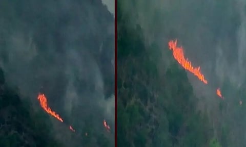 புளியங்குடி மேற்கு தொடர்ச்சி மலையில் 2 வது நாளாகக் காட்டுத்தீப் பரவல்