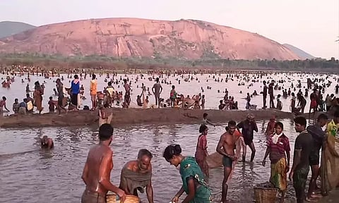 மேலூர் அருகே பரம்பு கண்மாயில் பாரம்பரியமிக்க மீன்பிடித் திருவிழா