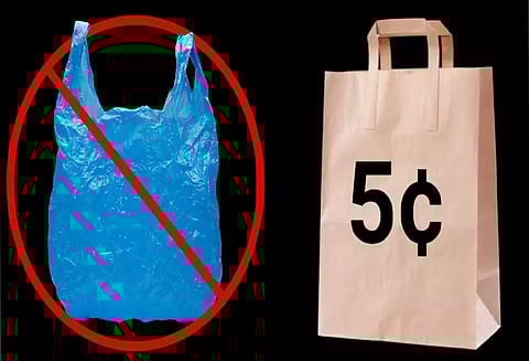 பொதுமக்கள் பாலிதீன் பைகள் பயன்பாட்டை கைவிட வேண்டும் கலெக்டர் வெங்கடராஜா வேண்டுகோள்