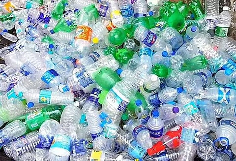 பழனி-சவரிக்காடு மலைப்பாதையில் 250 கிலோ பிளாஸ்டிக் குப்பைகள் அகற்றம்