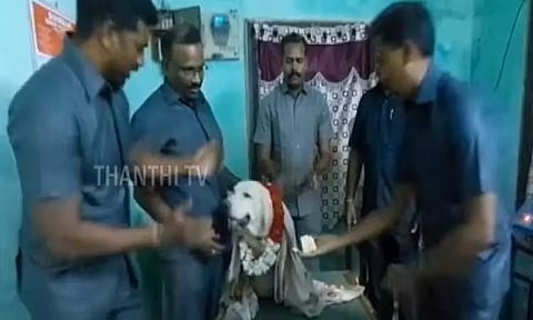 ஓய்வு பெறும் துப்பறியும் மோப்ப நாய்க்கு கேக் வெட்டி கொண்டாட்டம்