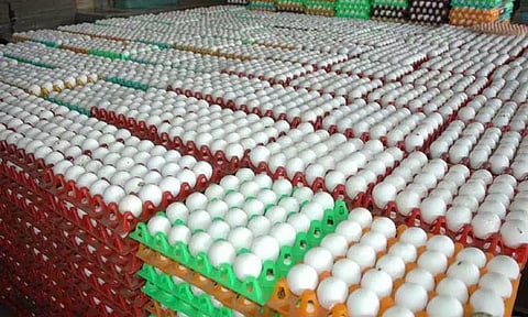 கோப்புப்படம் 