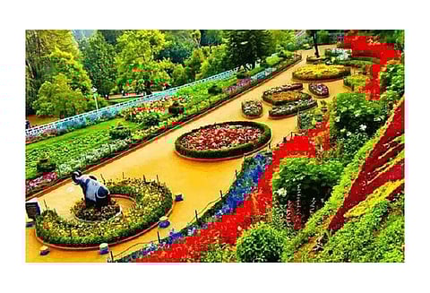 மைசூரு தசரா மலர் கண்காட்சி செப்டம்பர் 26-ந்தேதி தொடங்குகிறது; தோட்டக்கலை துறை அதிகாரி தகவல்