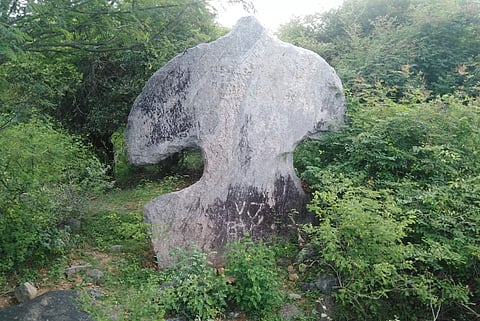 அழிந்து வரும் விசிறிப்பாறையை பாதுகாக்க தொல்லியல் துறை முன்வர வேண்டும்