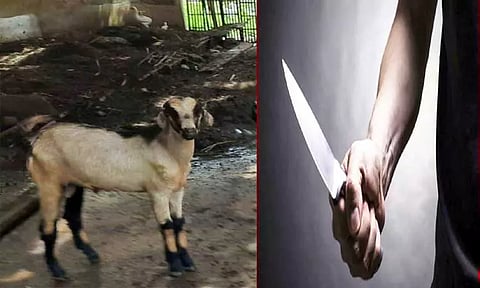 கோப்புப்படம் 