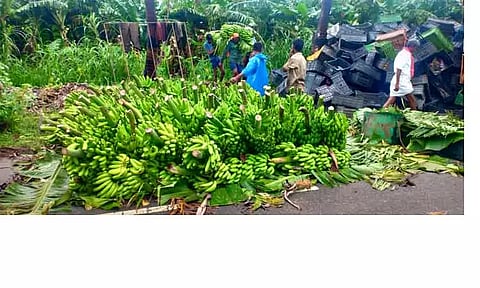 வரத்து குறைந்ததால் வாழை விலை அதிகரிப்பு