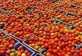 வரத்து அதிகரிப்பு எதிரொலி: கம்பம் உழவர் சந்தையில் காய்கறி விலை குறைவு: தக்காளி கிலோ ரூ.9-க்கு விற்பனை